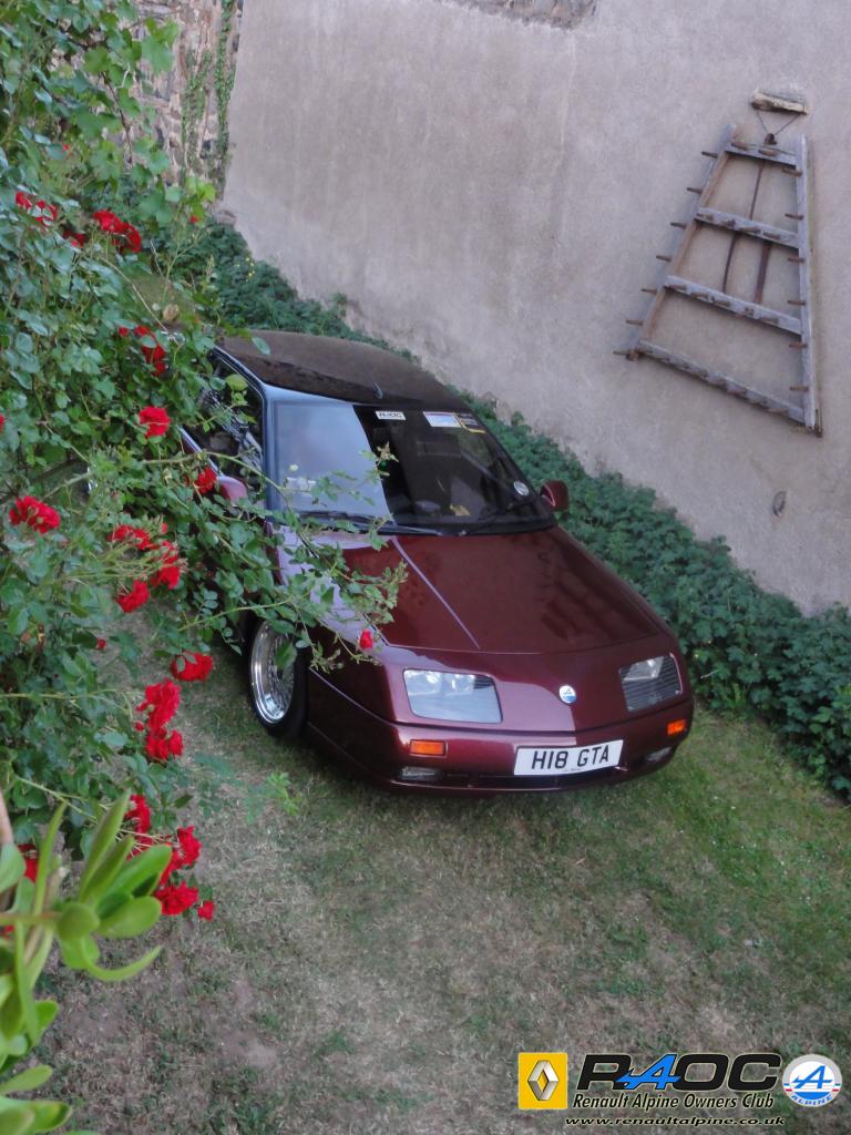 Thorn Amongst the Roses